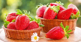 Ăn gì để ít ốm vặt: 7 loại thực phẩm quen thuộc giúp bạn tăng cường hệ miễn dịch 2 Ảnh minh họa