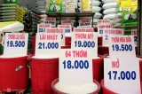 Giá bán lẻ gạo trong nước neo cao dù xuất khẩu lao dốc 4 Giá gạo tại một cửa hàng trên đường Lê Đức Thọ, phường An Hội Đông (TP HCM) vẫn luôn giữ mức giá cao một năm qua. Ảnh: Thi Hà