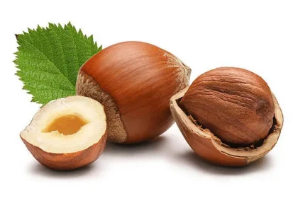 Hạt phỉ còn được gọi là hazelnut và khá giống hạt dẻ gai. (Ảnh: iStock)