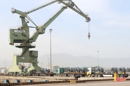 Hoạt động sản xuất - kinh doanh tại FHS.