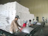 Nhiều doanh nghiệp xuất khẩu gạo tìm hướng chuyển thị trường