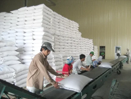 Nhiều doanh nghiệp xuất khẩu gạo tìm hướng chuyển thị trường