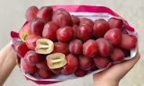 Hơn nửa triệu đồng một chùm nho trái tim Trung Quốc 9 Nho trái tim được bán ở các cửa hàng trái cây nhập khẩu và trên chợ online. Ảnh: NVCC