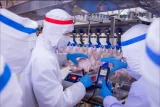 Ngành gia cầm của Việt Nam có nhiều dư địa xuất khẩu. Ảnh: Thu Hà