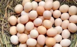 Lòng trắng trứng được cho là một trong những thực phẩm tốt cho người suy thận nhưng khi sử dụng vẫn cần tham vấn bác sĩ. Ảnh: Kiều Vũ