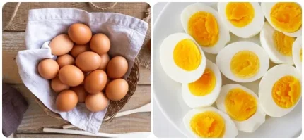 Điều gì sẽ xảy ra nếu bạn ăn trứng mỗi ngày? 1 Ăn trứng mỗi ngày rất tốt cho sức khoẻ