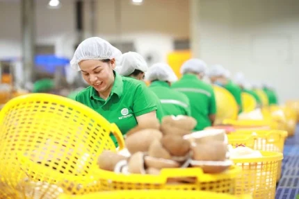 Xuất khẩu nguyên liệu thực phẩm sang Campuchia tăng mạnh trong thời gian qua