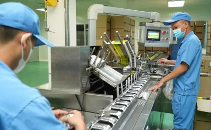 Mở rộng không gian xuất khẩu: Hàng Việt tăng tốc vào thị trường tỷ đô 1 Dây chuyền sản xuất và đóng gói của OPC đang được chuẩn hóa theo tiêu chuẩn GMP-WHO và các yêu cầu kỹ thuật của thị trường xuất khẩu. Ảnh: Hoàng Hùng