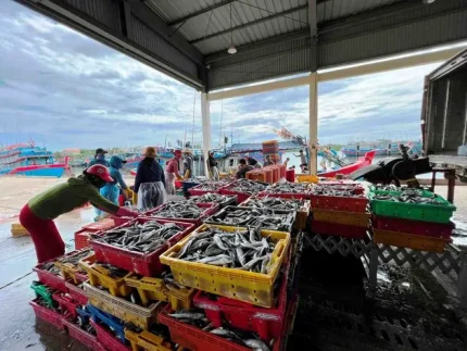 Thủy sản là một trong những ngành được định hướng phát triển thành ngành kinh tế quan trọng của quốc gia. Ảnh: Ngọc Viên