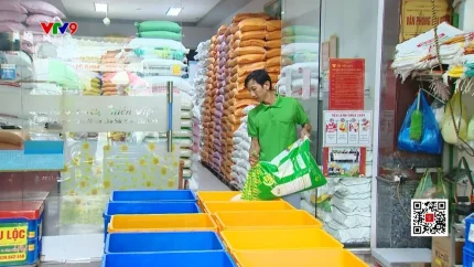 Sự chuyển dịch từ "xuất khẩu nhiều" sang "xuất khẩu có giá trị" đang tạo lợi thế cạnh tranh rõ rệt cho hạt gạo Việt Nam