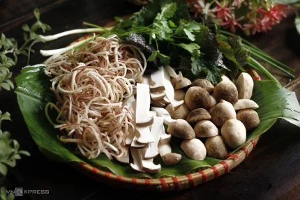 8 lý do nên ăn nấm thường xuyên 1 Nấm chứa nhiều chất dinh dưỡng, tốt cho sức khỏe tổng thể. Ảnh: Bùi Thủy