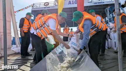 ĐBSCL thả hơn 2 tấn cá giống quý hiếm, tái tạo nguồn lợi thủy sản 1 Ông Nguyễn Quang Hùng, Phó Cục trưởng Cục Thủy sản và Kiểm ngư (bên trái) cùng ông Ngô Công Thức, Phó Chủ tịch UBND tỉnh An Giang thả cá (Ảnh: Hoàng Duật).