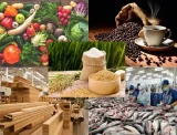 Cà phê, rau quả và thủy sản dẫn đầu tăng trưởng xuất khẩu nông sản Việt Nam 2 Ảnh minh họa