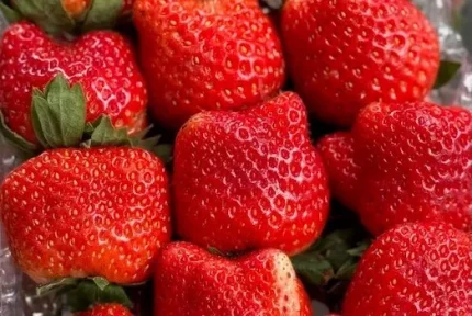 Lợi ích vượt trội của dâu tây cho sức khỏe và hệ miễn dịch 1 Ảnh minh họa