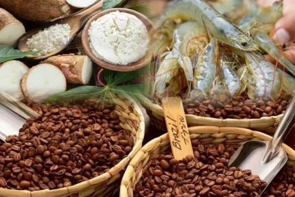 Xuất khẩu nông lâm thủy sản tăng tốc cuối năm 1 Cà phê, sắn, thủy sản dẫn dắt đà tăng trưởng xuất khẩu cuối năm. Ảnh minh họa: TL