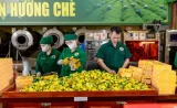 HTX Chè Hảo Đạt cho rằng, doanh nghiệp cần thời gian làm quen, chuẩn hóa và cập nhật dữ liệu trên hệ thống. Ảnh: HTX Chè Hảo Đạt cung cấp