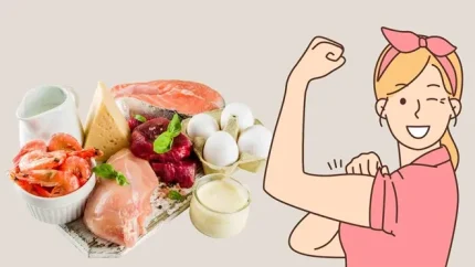 Chúng ta nên bổ sung thêm protein vào bữa trưa để tốt cho sức khỏe. Đồ họa: Hạ Mây
