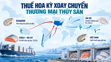 Chính sách thuế Hoa Kỳ đang làm xoay chuyển thương mại thủy sản thế giới 1 Ảnh minh họa