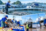 8 tháng năm 2026, xuất khẩu thủy sản đạt khoảng 7,94 tỷ USD. (Ảnh có sự hỗ trợ của AI)