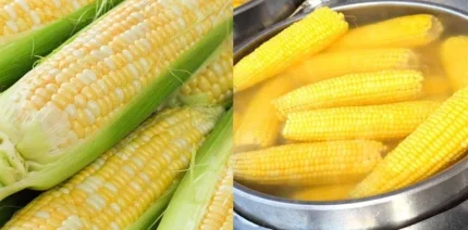 Loạt lợi ích sức khỏe bất ngờ từ bắp ngô luộc