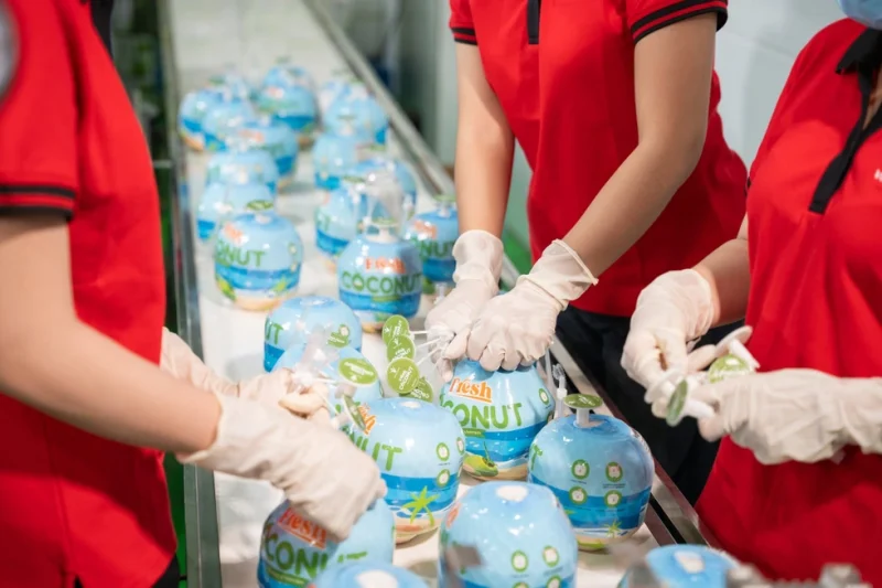 Dừa tươi vượt xoài, thanh long trở thành trái cây có kim ngạch xuất khẩu vào Mỹ lớn nhất (Ảnh: TTG).