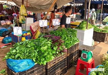 Giá rau xanh, bầu bí ở chợ đang tăng lên vì ảnh hưởng thời tiếtẢnh: Quang Thuần