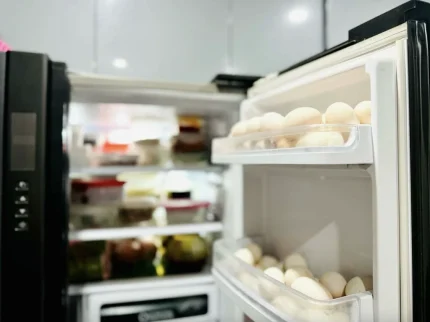 Không nên tích trữ quá nhiều đồ ăn trong tủ lạnh. Ảnh: Lục Bảo