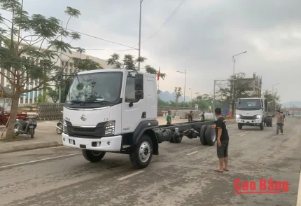 Xuất nhập khẩu ô tô qua Cửa khẩu Quốc tế Tà Lùng.