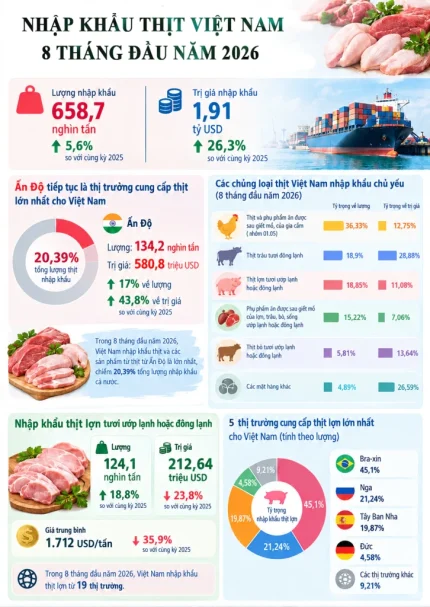 Nhập khẩu thịt Việt Nam 8 tháng đầu năm 2026 - Dữ liệu: Cục Xuất nhập khẩu - Đồ họa AI