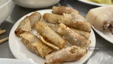 Ăn nhiều đồ chiên rán, nhiều dầu mỡ có thể làm tăng nguy cơ rối loạn mỡ máu, ảnh hưởng đến sức khỏe chuyển hóa và làm tăng gánh nặng bệnh lý ở người mắc bệnh thận. Ảnh: Nguyễn Ly