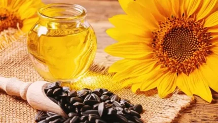 Nguồn cung Biển Đen gián đoạn, Ấn Độ chuyển hướng tìm nguồn dầu ăn thay thế 1 Ảnh minh họa
