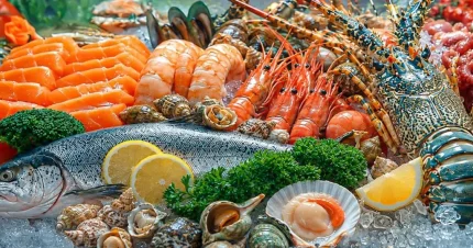 Trung Quốc dự kiến giảm thuế đối với thủy sản Mỹ 1 Ảnh minh họa