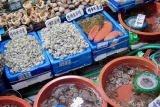 Hàn Quốc lo ngại ngành khai thác thủy sản chịu thiệt hại nếu gia nhập CPTPP 1 Ảnh minh họa